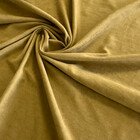 Горчица Канвас. v-476